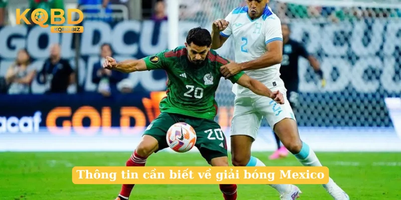 Thông tin cần biết về giải bóng Mexico