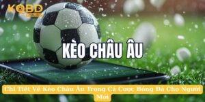 Chi Tiết Về Kèo Châu Âu Trong Cá Cược Bóng Đá Cho Người Mới