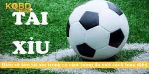 Hiểu Về Kèo Tài Xỉu Trong Cá Cược Bóng Đá Một Cách Toàn Diện