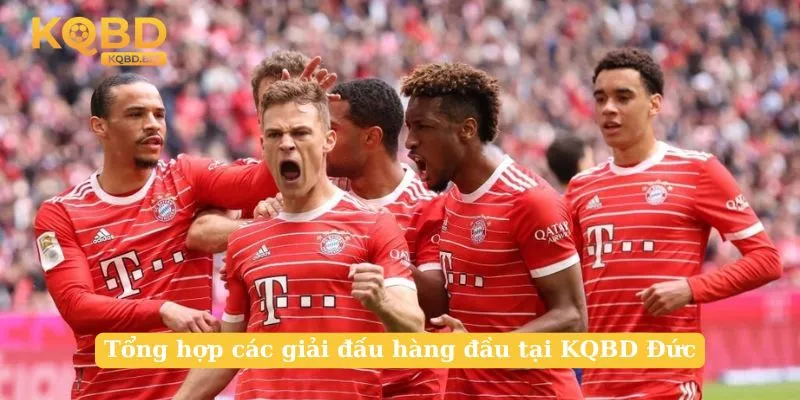 Tổng hợp các giải đấu hàng đầu tại KQBD Đức